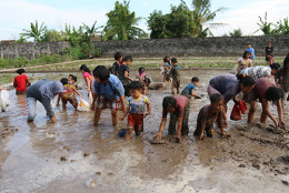 Lomba Tangkap Lele 17 an tahun 2017